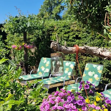 B&B D.l.blazkiewicz *