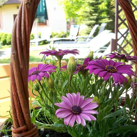 D.l.blazkiewicz B&B *