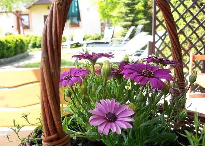 D.l.blazkiewicz Couette-café 3*